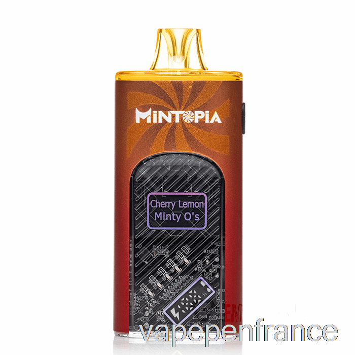 Mintopia Turbo 9000 Stylo Jetable Cerise Citron Menthe Os Vape